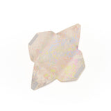 buntA b-Pac_v2  limited