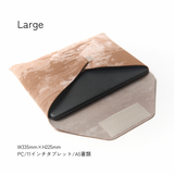 buntA b-Pac_v2  limited